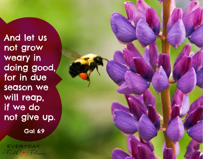 Galatians 6:9