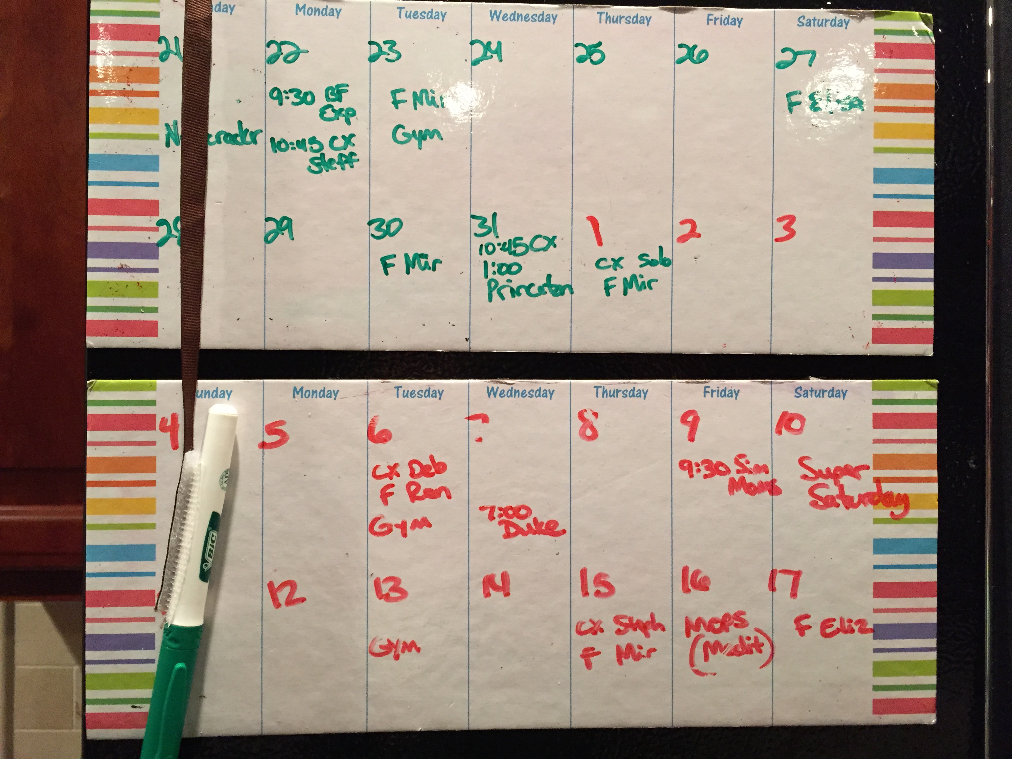 Bi weekly calendar